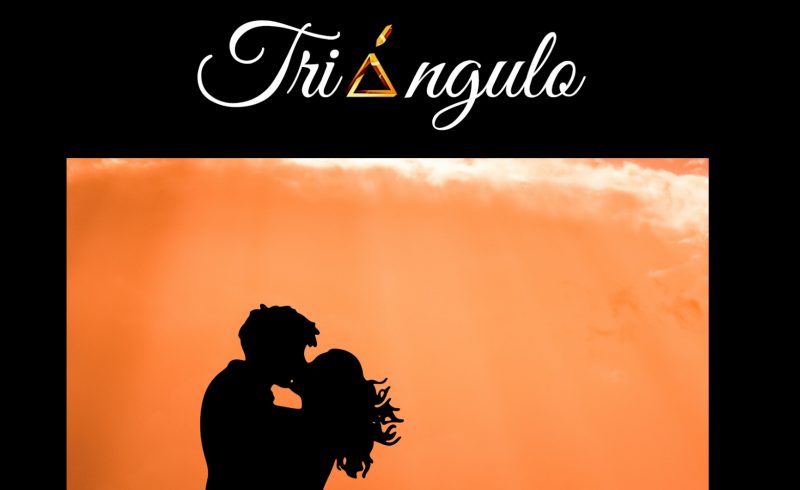 Mi primera novela